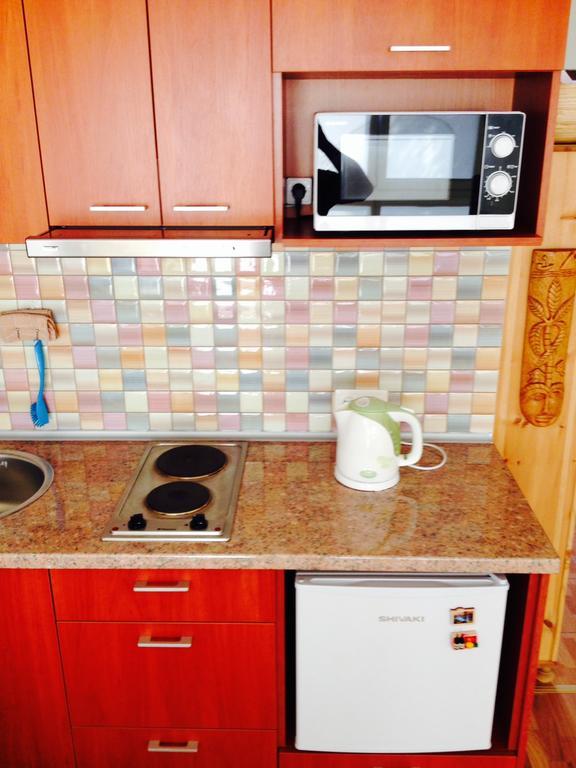 A Cozy Central Studio Друскининкай Стая снимка